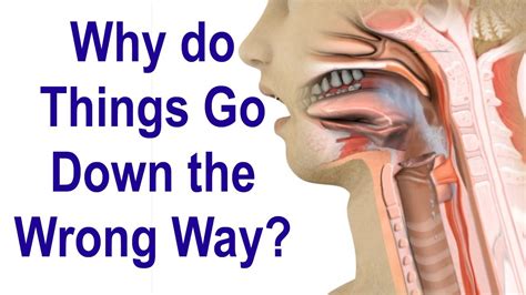 Why Do Things Go Down The Wrong Way When Swallowing Sometimes