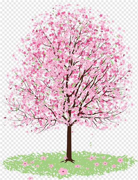 Arbol De Cerezo Dibujo Mural Cherry Blossoms Cherry B
