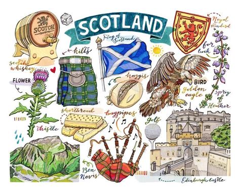 The Scottish Symbols Are Depicted In This Hand Drawn Illustration