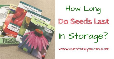 How Long Do Seeds Last In Storage Our Stoney Acres Seeds