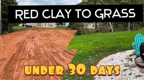Red Clay To Grass In Under 30 Days Here How To Do It Easy Youtube