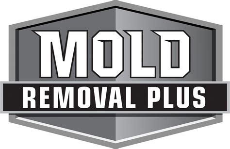 Mold Removal Plus Mold Faqs