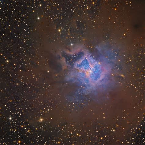 My Image Of The Iris Nebula A Beautiful Reflection Nebula Surrounded