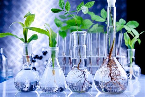 Esact stands for 'european society for animal cell technology' and brings together scientists, engineers and other specialists working with animal cells to promote dialogue and scientific development. BIOLOGICAL RESEARCH | Inbiotics is an exclusive training ...