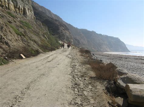 File Blacks Beach Road From Ucsd Wikimedia Commons