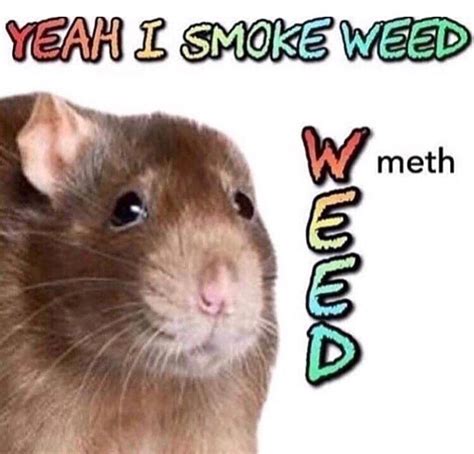 Yea I Smoke Weed Meth Bad Acronyms Know Your Meme