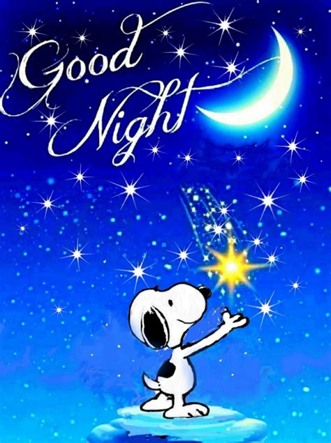 Cute Good Night Good Night Gif Good Night Moon Good Night Sweet
