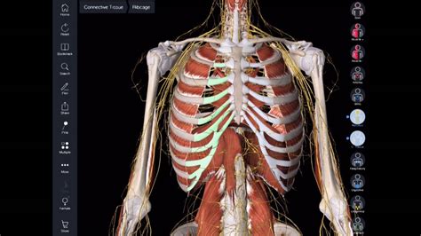 Essential Anatomy 5 App Android Medigera