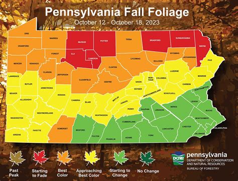 Best Fall Foliage In Pa Can Be Found In These Counties This Week