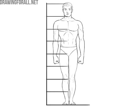 Aggregate Sketching Body Proportions Latest In Eteachers