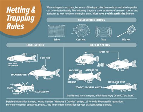 Netting And Trapping Regulations Indiana Fishing Eregulations