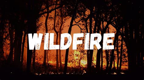 How To Survive A Wildfire YouTube