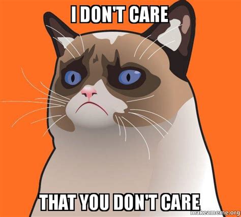 I Dont Care That You Dont Care Cartoon Grumpy Cat Make A Meme