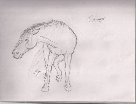 Sketch~ Ginger Black Beauty By Chellythebean On Deviantart