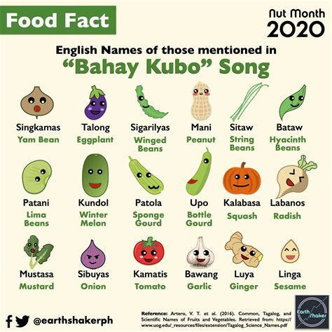 Scientific Name Of Fruits And Vegetables In Bahay Kubo Bahayato My