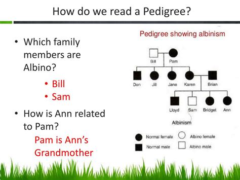Ppt Pedigree Charts Powerpoint Presentation Free Download Id2148184