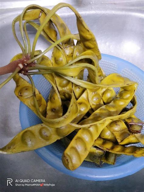 Cara membuat pepes ikan nila: Cara-Cara Buat Petai Jeruk Homemade Yang Sedap & Tak Lembik