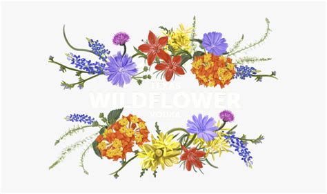Wildflower Clipart Free 10 Free Cliparts Download Images On
