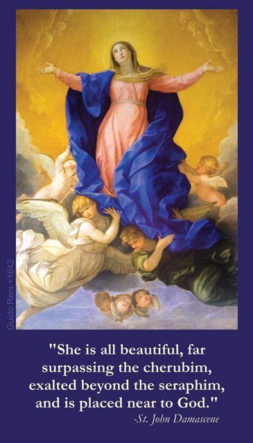 Our Lady Of The Assumption Prayer Card Blessed Mother Mary
