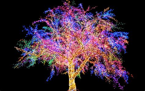 The Magic Tree Magical Tree Cheap Christmas Lights Holiday Lights