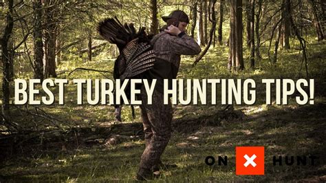 5 Best Turkey Hunting Tips Public Land Youtube