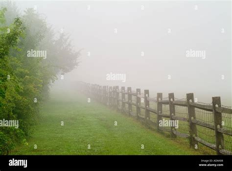 Fence Fading Into The Mist Stock Photo Alamy