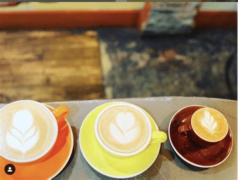 Best Coffee Shops In Houston To Study Totality Blogger Photographs