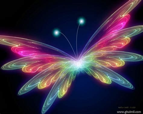 Live Butterfly Wallpapers Wallpaper Cave