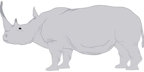 Explore 183 Free Rhinoceros Illustrations Download Now Pixabay