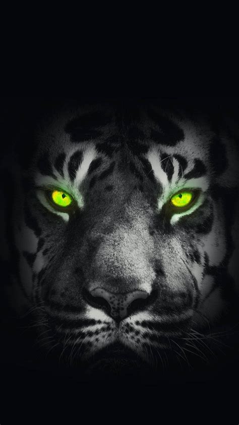 Download Glowing Green Eyes Of Black Tiger Wallpaper