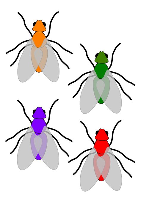 Multicoloured Flies Clip Art At Vector Clip Art Online