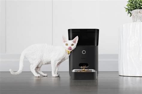 Cool Gadgets For Your Pet Did You Know Pets