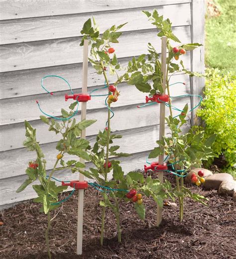 Tomato Tomboy Plant Supports Set Of 4 Plowhearth
