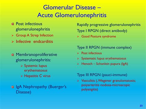 Glomerulonephritis Types