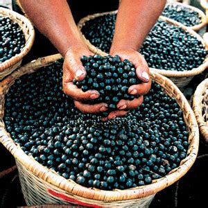 They are held items and ingredients for foods like pokéblocks and poffins. Açai Berries: How healthy are they? | Nutrition Wonderland