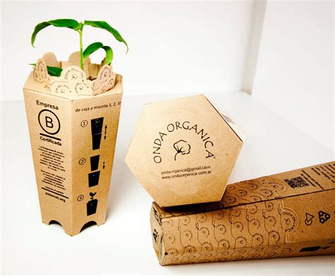 Play Your Part In Saving Our Ecosystem By Using Eco Packaging Wholesale