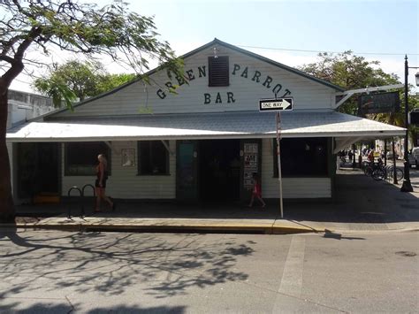 Green Parrot — Florida Beach Bar