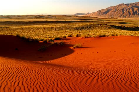 Southern African Biomes South Africa Part 1 African Budget Safaris