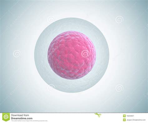 Stem Cell Clipart 20 Free Cliparts Download Images On
