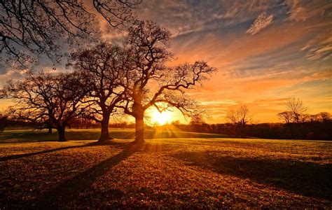 Download Evening Landscape Fall Tree Photography Sunset 4k Ultra Hd