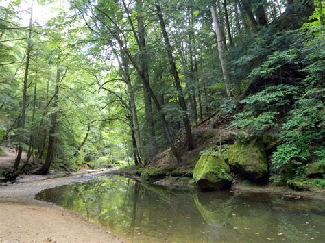 Summer Sanctuary by pauldlorentz on DeviantArt