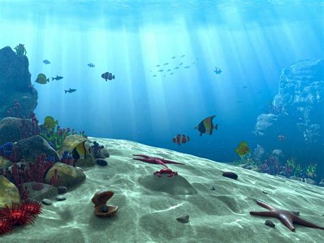 Free Download Underwater Ocean Scene Wallpaper Underwater Scene By