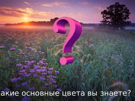 Какие основные диеты вы знаете