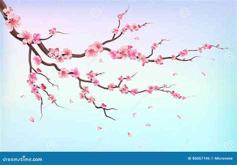 Japan Sakura Branches With Cherry Blossom Flowers And Falling Petals