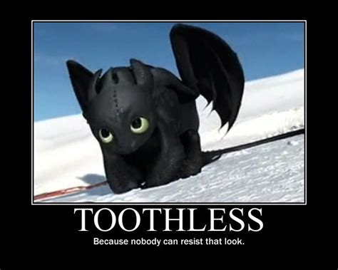 So Cute Httyd Dragons Dreamworks Dragons Cute Dragons Disney And Dreamworks Toothless And