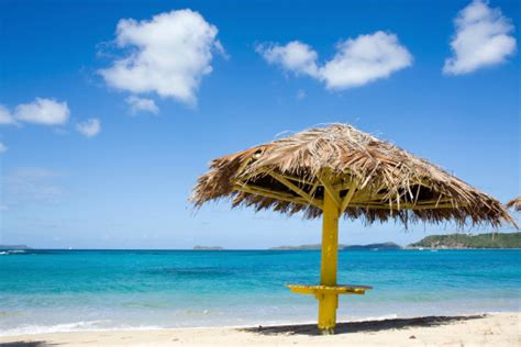 Hut On A Tropical Beach Stock Photo Download Image Now Istock