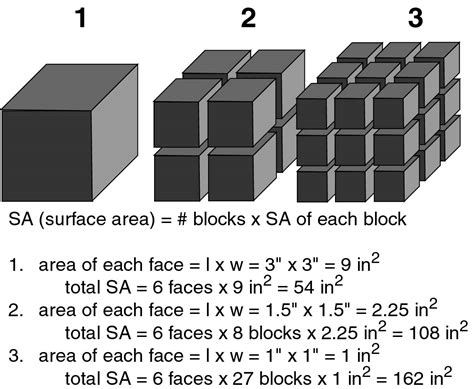 Safety goggles (not safety glasses) 2. Mechanical/chemical weathering and soil formation