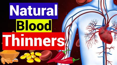 Blood Thinning Foods Printable List