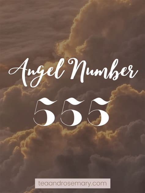 6 Reasons You Keep Seeing Angel Number 555 Tea And Rosemary