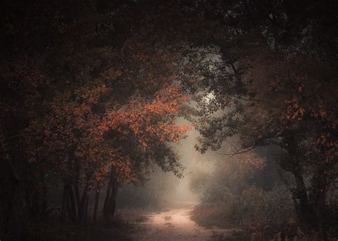 Wallpaper 2048x1463 Px Atmosphere Dark Dirt Road Fall Forest